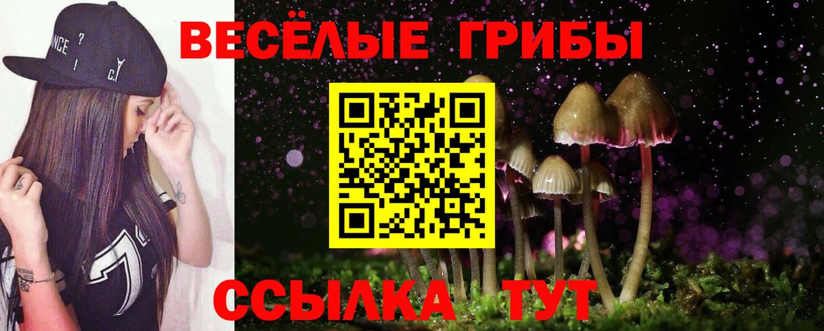 Галлюциногенные грибы прущие грибы Железногорск
