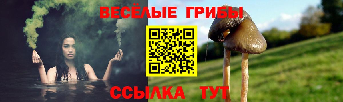 даркнет сайт  Псилоцибиновые грибы GOLDEN TEACHER  Вход с VPN  Железногорск  Галлюциногенные грибы ЛСД 